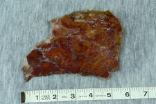 Rooster Tail agate, in slab form before use. This is old stock, mined in Mexico Rooster Tail agate, in slab form before use. This is old stock, mined in Mexico