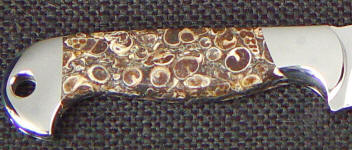 From Wyoming this fossilized agate is spiral pelecypods From Wyoming this fossilized agate is spiral pelecypods