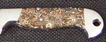 Turitella Agate is fossilized sea bed with shells in agate Turitella Agate is fossilized sea bed with shells in agate