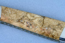 Fossilized Fern showing vascular tissue of a fossilized (or petrified) fern, from the late Paleozoic era Fossilized Fern showing vascular tissue of a fossilized (or petrified) fern, from the late Paleozoic era