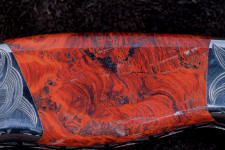 huge 7 power enlargement of fossil stromatolite algae huge 7 power enlargement of fossil stromatolite algae